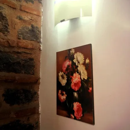 Dante Loft